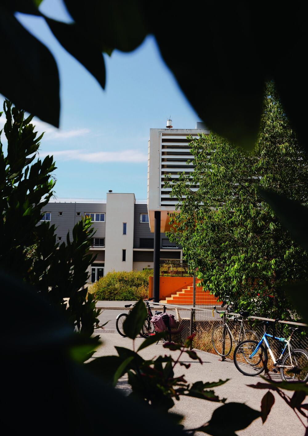 Le campus de l'IHU Immun4Cure à Montpellier