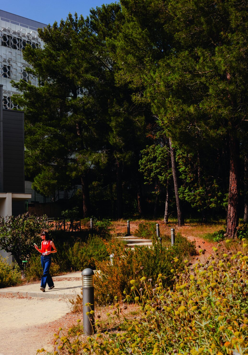 Le parc du campus de l'IHU Immun4Cure