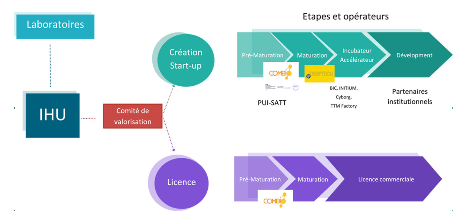 Comité de valorisation Immun4cure : IHU Montpellier développement traitements maladies auto-immunes et inflammatoires