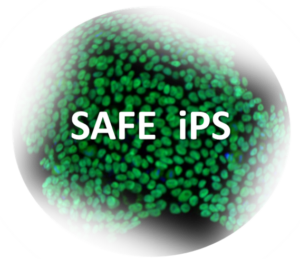 Logo SAFE iPS